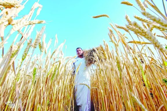 خرید شرکت Agribrasil توسط عمان: تأثیر آن بر امنیت غذایی و فرصت‌های سرمایه‌گذاری در بخش کشاورزی