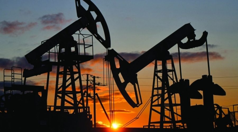 Oil Prices Steady: Implications of Potential Trump-Putin Meeting for Omani Investors and Businesses