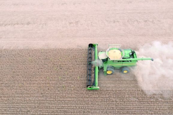 US Soybean Market Faces Challenges: How Brazil's Supply Surge Affects Investment Opportunities for Businesses in Oman