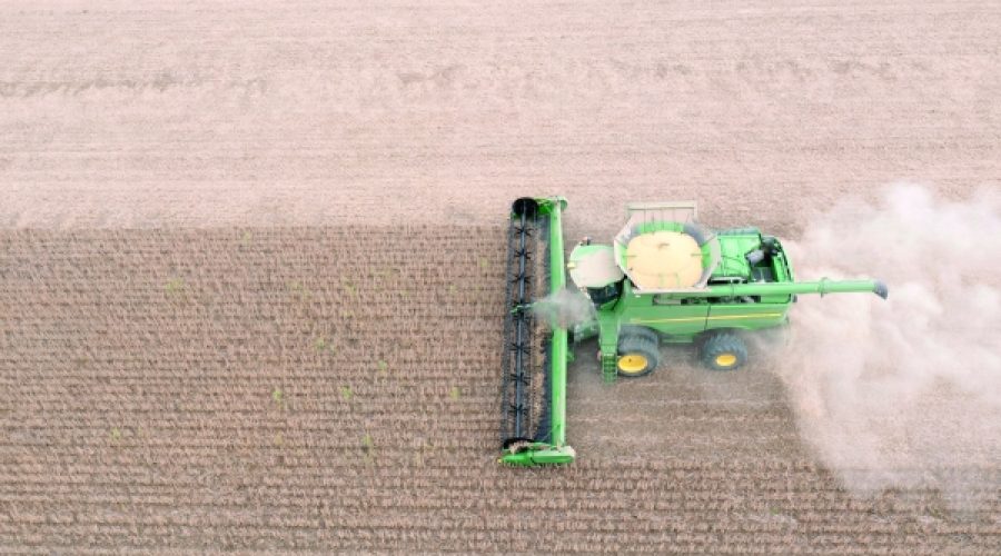US Soybean Market Faces Challenges: How Brazil’s Supply Surge Affects Investment Opportunities for Businesses in Oman