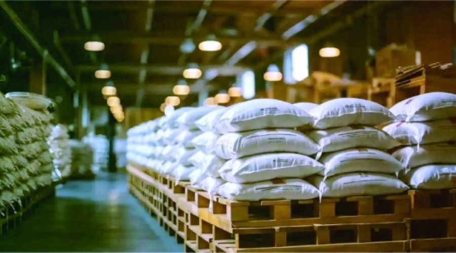 Oman Flour Mills Advances Insect Meal Project: What It Means for the Future of Animal Feed and Investment Opportunities in Oman