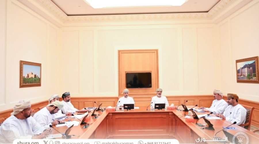 Shura Committee Explores Remote Work Systems: Implications for Business Flexibility and Productivity in Oman