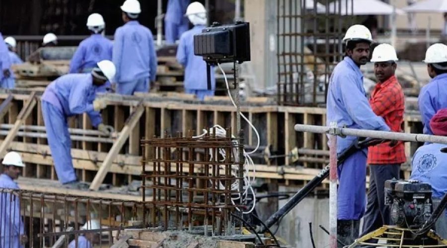 Midday Work Permit Applications for Essential Services: Implications for Businesses in Oman