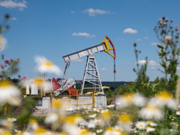 Geopolitical Uncertainty: Stable Oil Prices and Rising Gold—Implications for Investors and Businesses in Oman