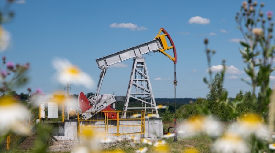 Geopolitical Uncertainty: Stable Oil Prices and Rising Gold—Implications for Investors and Businesses in Oman