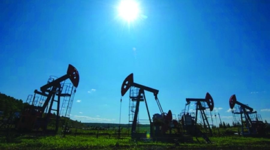 Oil Prices Surge Amid US Trade Optimism: What This Means for Your Business in Oman