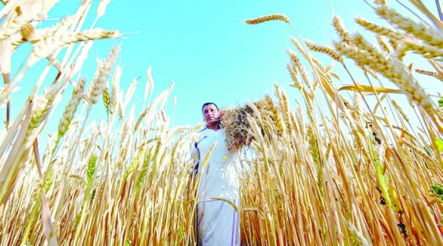 Oman’s Acquisition of Agribrasil: What It Means for Food Security and Investment Opportunities in the Agribusiness Sector