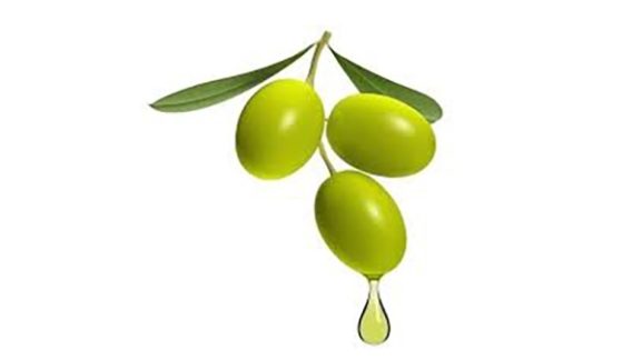 Unlocking Quality: 4 Essential Rules for Entrepreneurs to Choose the Best Olive Oil for Your Business