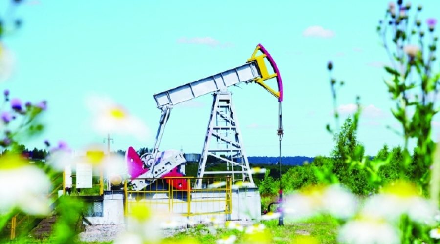Oil Prices Decline: Implications for Investors and Businesses Amid Increased Supply and Fed Rate Cuts