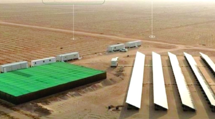 Advancements in Haima’s Jojoba Project: Implications for Sustainable Investment and Business Growth in Oman