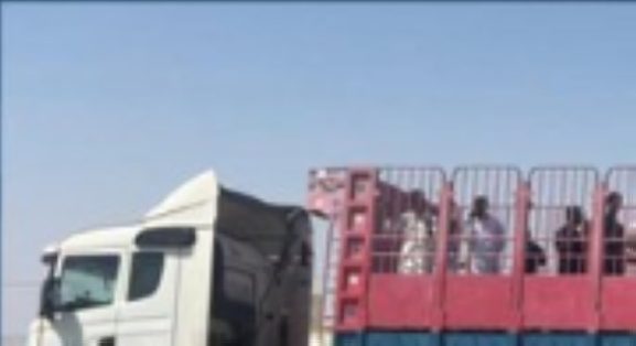 Revealing Inhumane Conditions for Transport Drivers: Implications for Oman’s Logistics Sector and Business Reputation