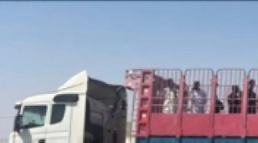 Revealing Inhumane Conditions for Transport Drivers: Implications for Oman’s Logistics Sector and Business Reputation