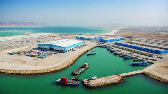 OPAZ Awards Consultancy Tender for Cold Chain Economic Cluster: Implications for Future Investment Opportunities in Oman
