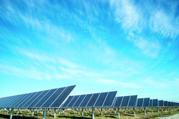 Nama Electricity Distribution's Solar Power Projects: What Investors and Businesses Need to Know About Oman's Renewable Energy Future
