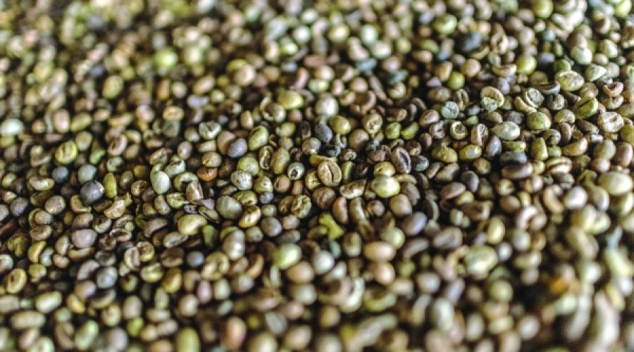 Deforestation Threatens Coffee Industry: What It Means for Investors and Business Owners in the Coffee Market
