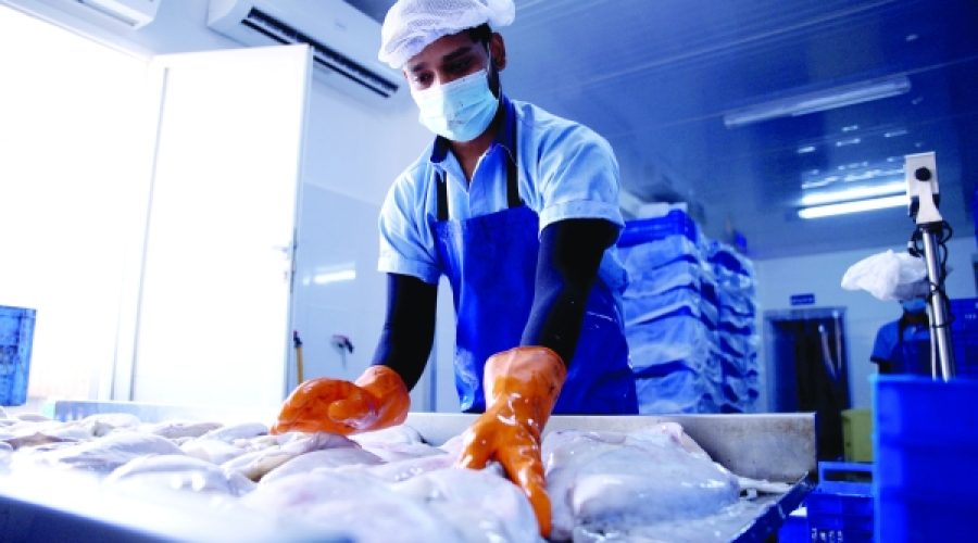 Al Mazunah Free Zone Surpasses RO 140 Million in Investments: What This Means for Business Growth in Oman