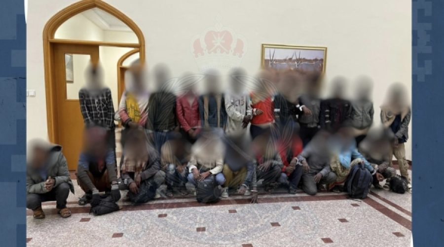 Arrest of Truck Driver for Smuggling Illegal Migrants: Implications for Business Compliance in Oman