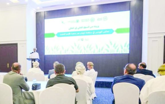 UN Platform Opens Doors for Omani Suppliers: What This Means for Business Growth and Investment Opportunities in Oman