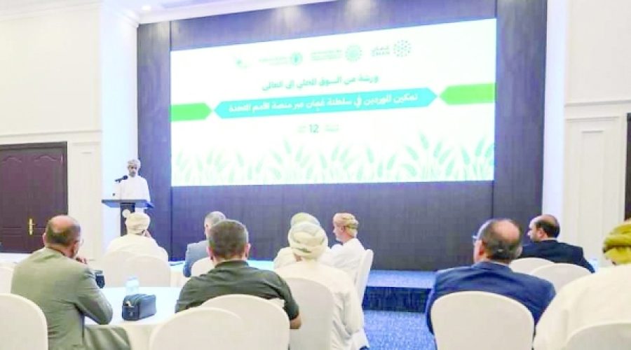 UN Platform Opens Doors for Omani Suppliers: What This Means for Business Growth and Investment Opportunities in Oman
