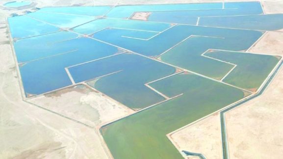 شرکت PDO به دنبال بازار برای آب تصفیه‌شده تولیدی است: فرصت‌های تجاری کلیدی برای سرمایه‌گذاران در عمان