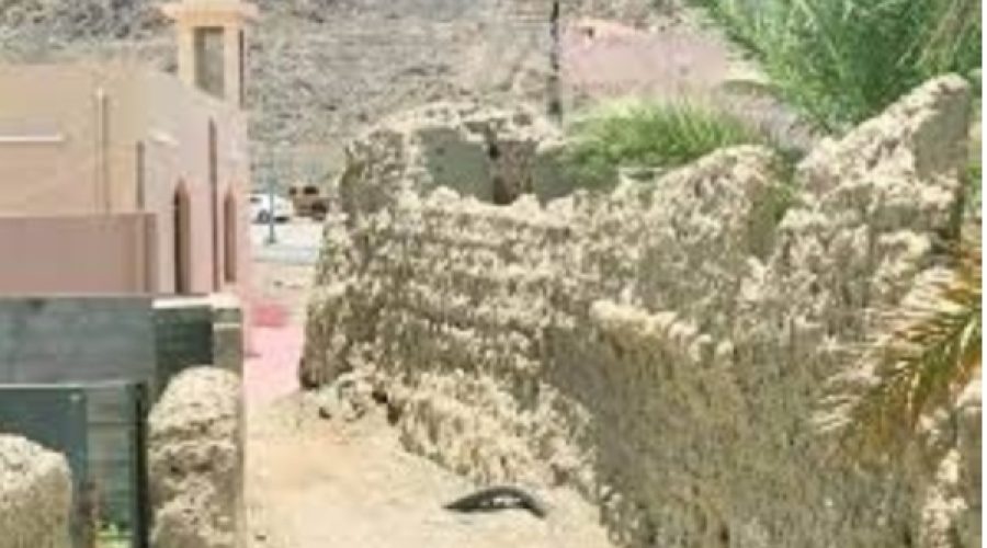 Preservation Study for Bahla Oasis Wall: What It Means for Heritage Tourism and Local Businesses in Oman