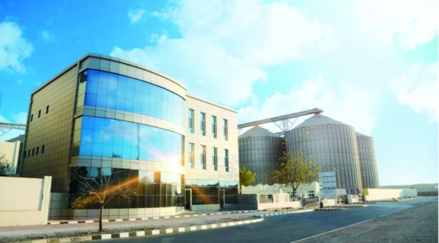 مشروع عُمان الطموح لتصبح مركزاً عالمياً لتجارة الحبوب: ماذا يعني هذا للمستثمرين وأصحاب الأعمال؟