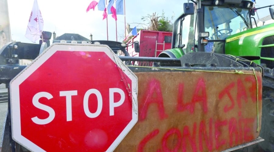 EU-Mercosur Trade Deal Nears Approval After 25 Years: Key Opportunities and Challenges for Businesses and Investors