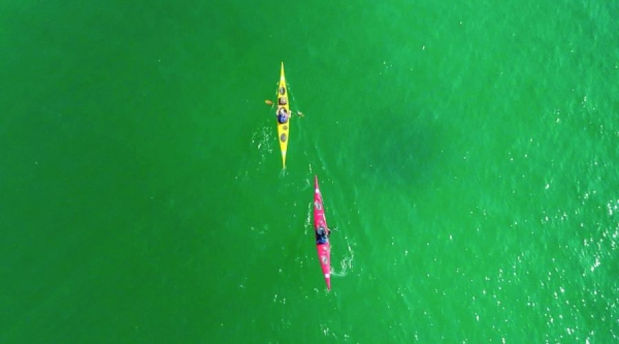 Oman 3165: Transforming Maritime Exploration into Sustainable Business Opportunities for Investors