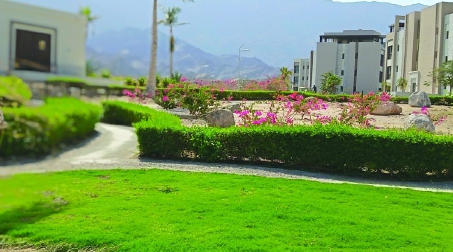 رونق زندگی به سبک مقصدمحور در عمان: این موضوع چه معنایی برای سرمایه‌گذاران و رشد کسب‌وکار دارد؟