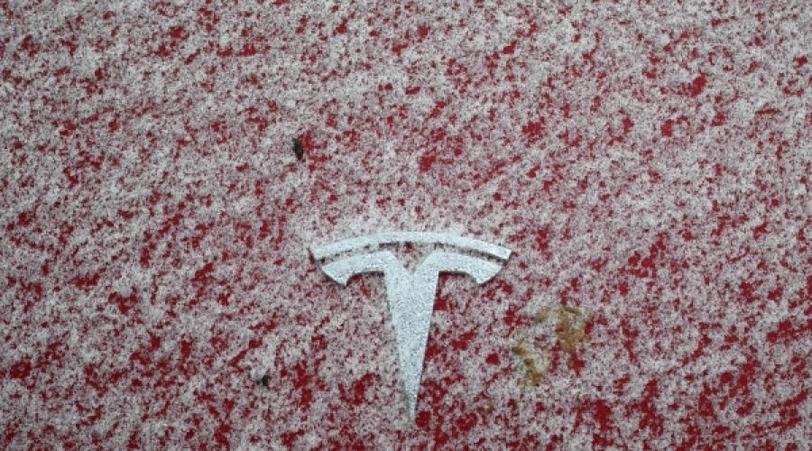 Tesla Profit Decline: Key Insights for Investors and Business Owners Looking Ahead