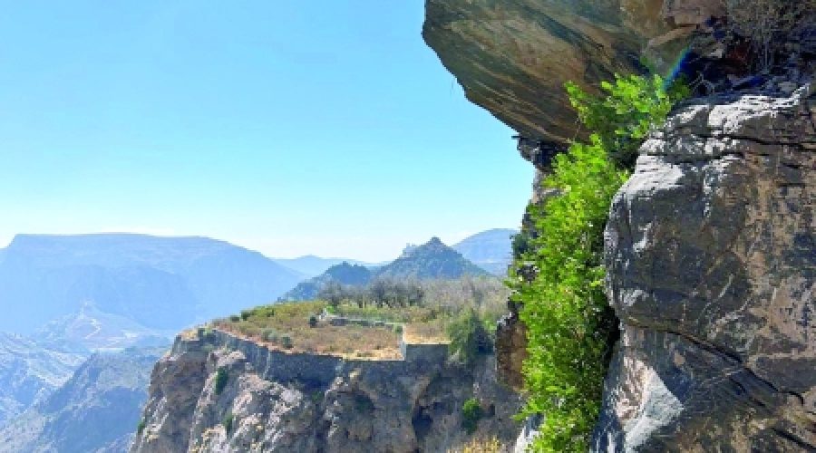 Oman Through Global Eyes: Key Insights for Investors and Entrepreneurs on Business Opportunities