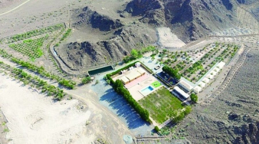 Neem Camp Boosts Experiential Tourism in Nizwa: What It Means for Investors and Entrepreneurs