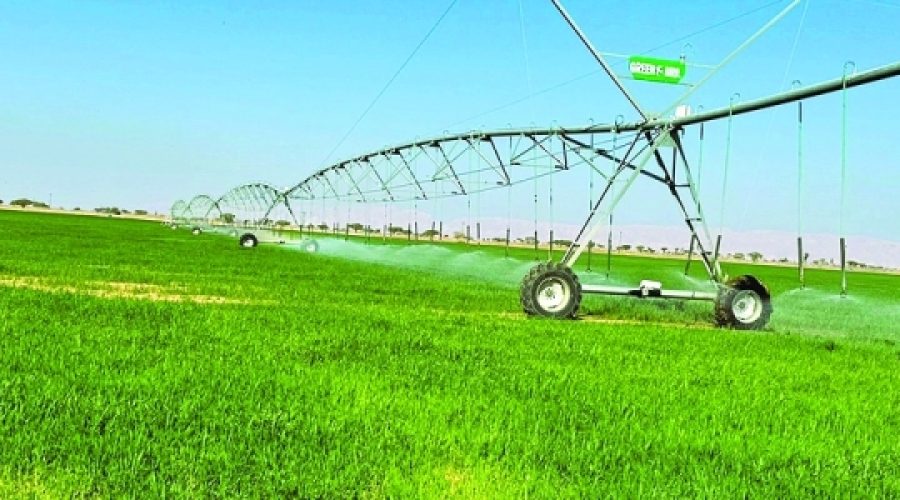 Al Batinah South Launches Agri-Food Investment Drive: Key Opportunities for Investors and Entrepreneurs in Oman