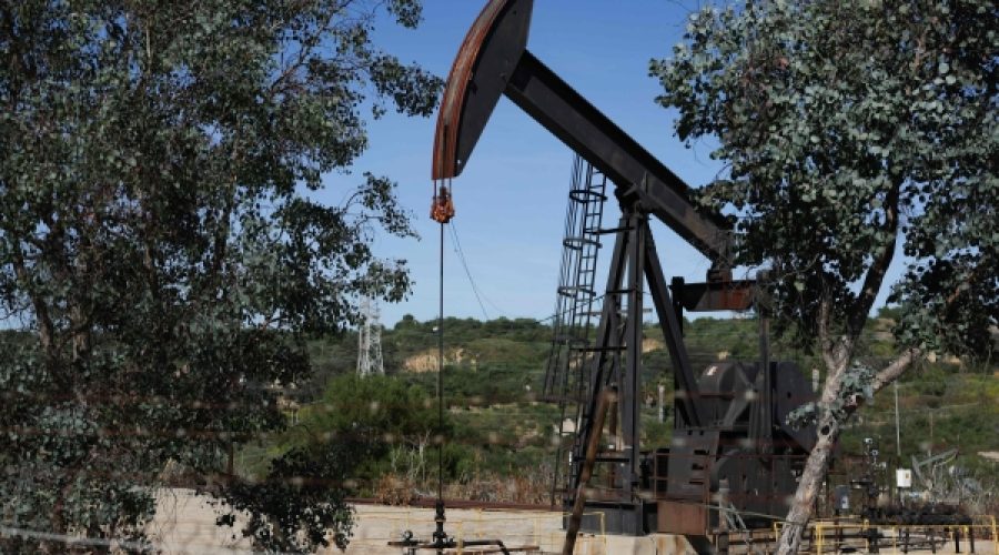 Middle East Conflict: What Does the 2% Drop in Global Crude Prices Mean for Oman’s Business Landscape?