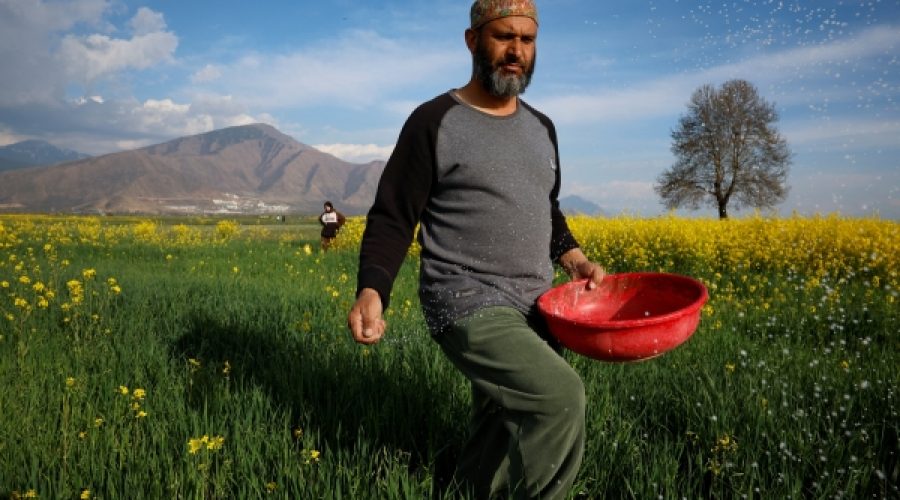 Rising Global Fertilizer Prices Due to Iran Conflict: What It Means for Food Costs and Your Business