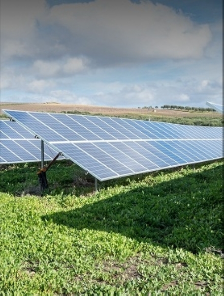 New Initiative Integrates Solar Energy into Agricultural Projects: What It Means for Investors and Entrepreneurs in Oman