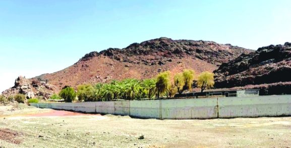 New Flood Protection Walls: How Will They Impact Agricultural Investment in Oman?