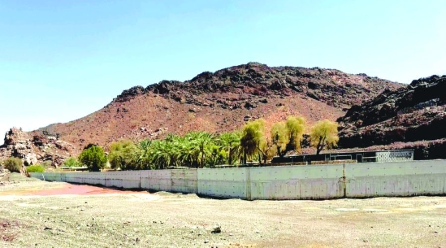 New Flood Protection Walls: How Will They Impact Agricultural Investment in Oman?