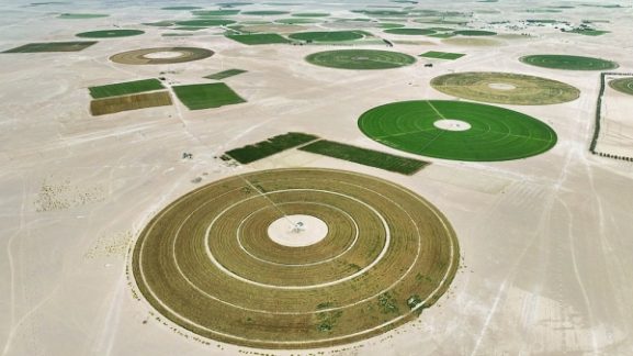 RO 29 Million Investment Boosts Food Security: What It Means for Investors and Entrepreneurs in Oman