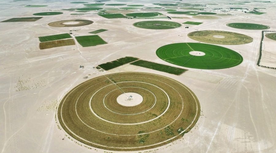 سرمایه‌گذاری ۲۹ میلیون ریالی، امنیت غذایی را افزایش می‌دهد: این برای سرمایه‌گذاران و کارآفرینان در عمان چه معنایی دارد؟