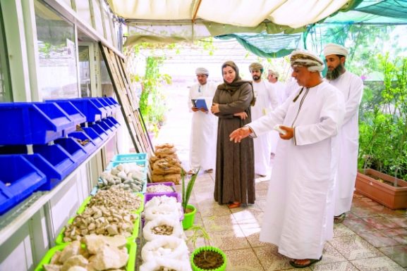 تمويل بقيمة 45.4 مليون ريال عماني يدعم 521 مشروعًا للمشاريع الصغيرة والمتوسطة: ما يعنيه ذلك لنمو الأعمال الصغيرة في سلطنة عمان؟