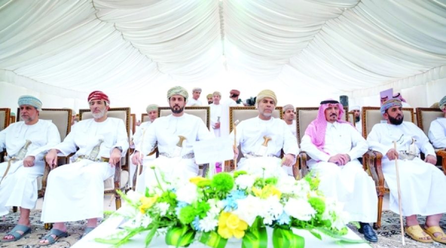 15 MW Smart Grid-Balancing Pilot in Ibri: Implications for Investment and Sustainability in Oman’s Energy Sector