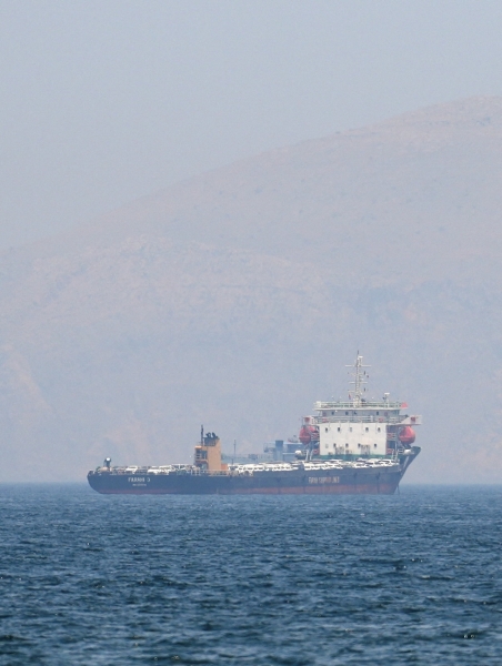 US Commitment to Clear Stranded Ships in Hormuz: What It Means for Maritime Trade and Business Stability in Oman