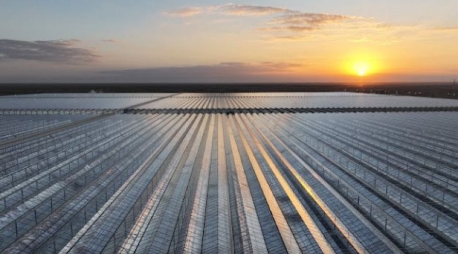Oman’s Ambitious Renewable Energy Target: What 60-70% Renewables by 2040 Mean for Investors and Businesses