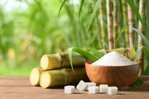 India Bars Sugar Exports Until September: What This Means for Global Sugar Markets and Business Opportunities