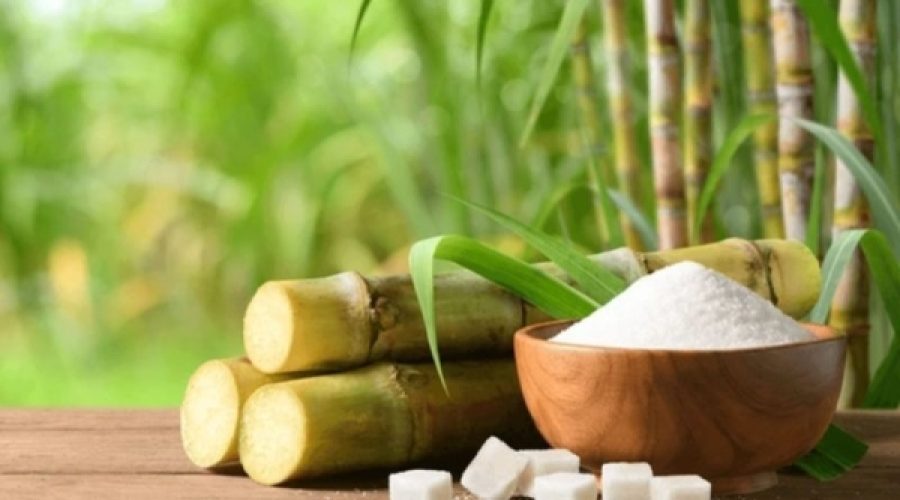 India Bars Sugar Exports Until September: What This Means for Global Sugar Markets and Business Opportunities