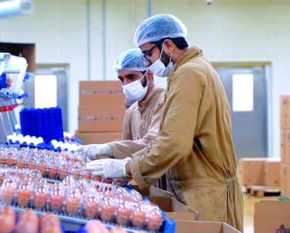 Strong Growth in Al Dhahirah Business Activities: What Investors and Entrepreneurs Need to Know