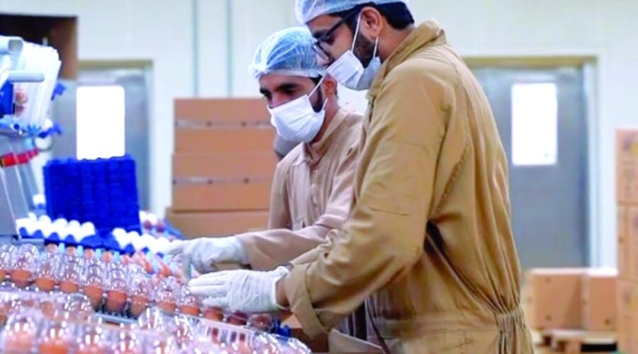 Strong Growth in Al Dhahirah Business Activities: What Investors and Entrepreneurs Need to Know