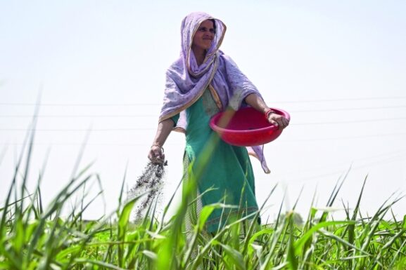 Global Fertiliser Trade Declines 30% Amid Middle East Conflict: Implications for Oman's Agriculture Sector