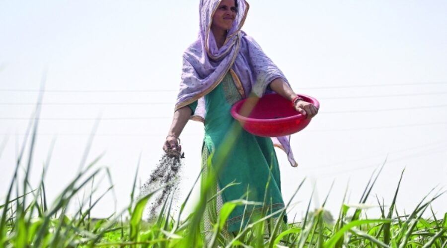 Global Fertiliser Trade Declines 30% Amid Middle East Conflict: Implications for Oman’s Agriculture Sector